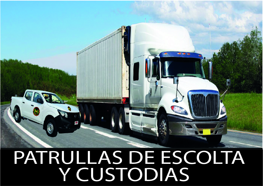 Hemos establecido sistemas y metodologías avanzadas para desarrollar la custodia de mercancías minimizando al máximo las posibilidades de un evento de robo o asalto, contando para ello con personal altamente capacitado en tareas de evasión y bloqueo de vehículos, manejo defensivo, de exploración y de escolta a bordo de vehículos. Para el trabajo de resguardo de materiales dentro del país contamos con el personal idóneo, conocedor de las rutas menos conflictivas, de los horarios más adecuados y de las normas de seguridad establecidas.